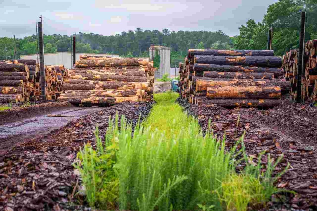 bancos-financian-la-deforestacion_1