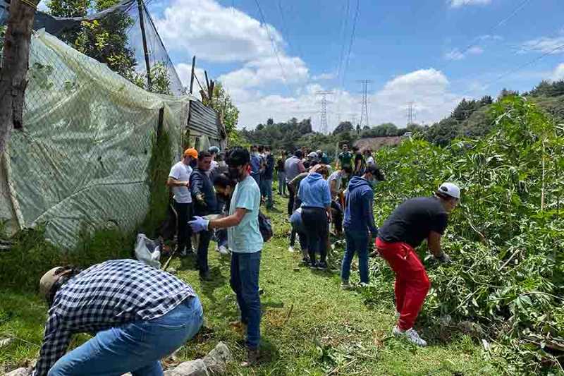 conservación de áreas protegidas