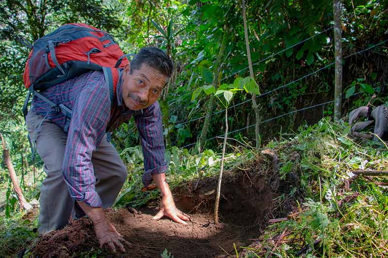libro tacaná cafetales