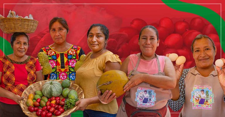 Proyectos productivos que impulsan la economía en Oaxaca