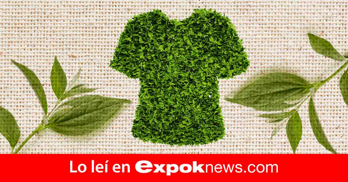 Ropa biodegradable ¿una solución a los desechos textiles?