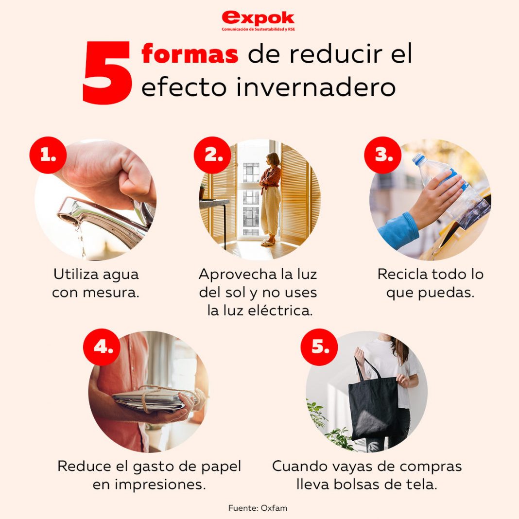 5 formas de reducir el efecto invernadero