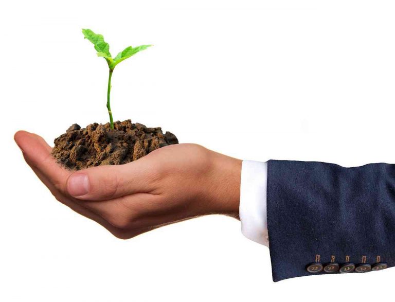 ESG, un factor de sustentabilidad y crecimiento empresarial