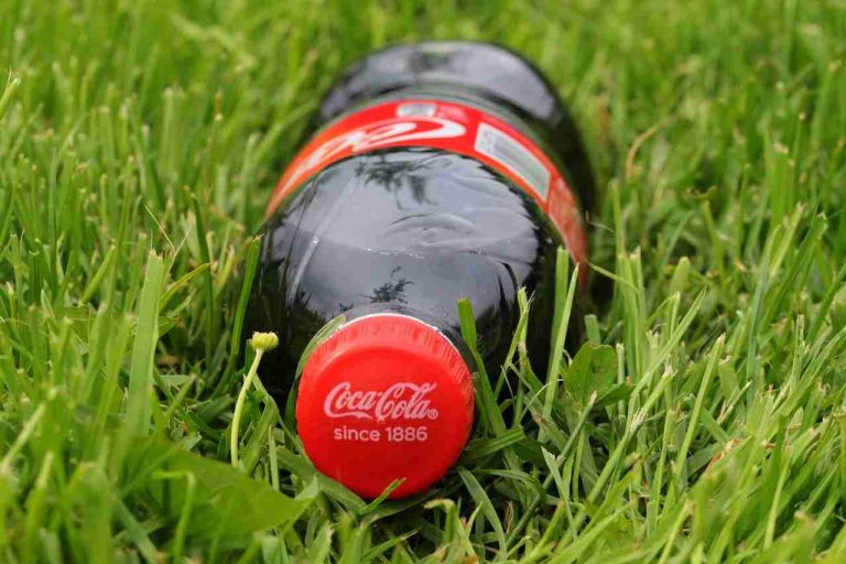 Patrocinio de Coca-Cola en la COP27 deja mal sabor de boca