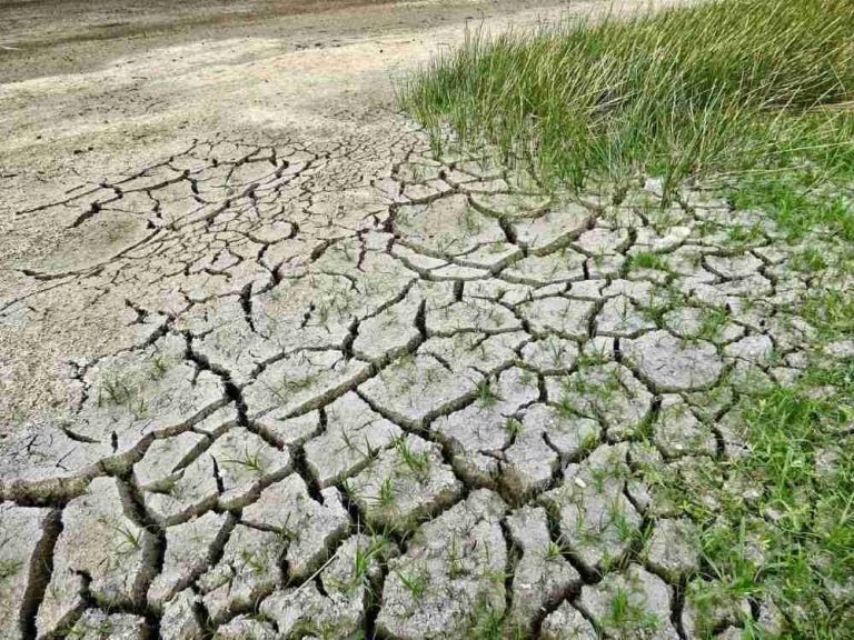 El cambio climático hace 20 veces más probables las sequías extremas