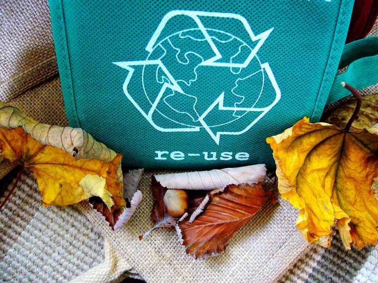 Desciclar… porque reciclar no basta
