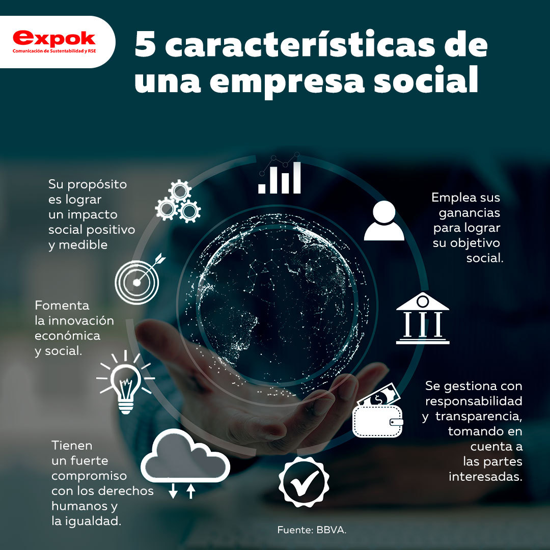 5 Caracter sticas De Una Empresa Social