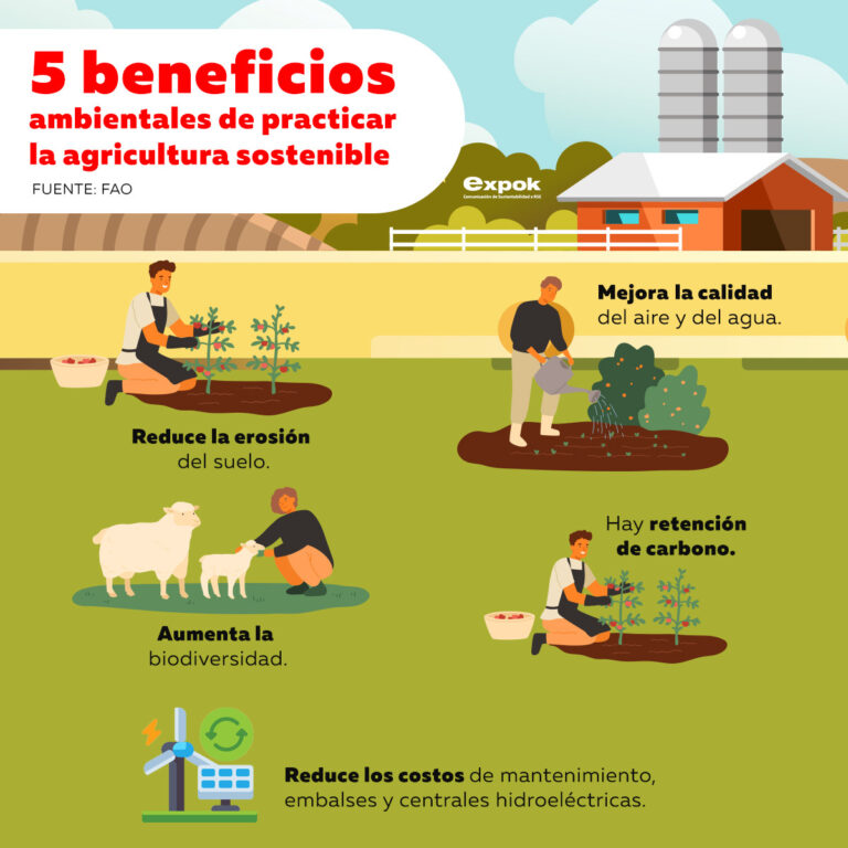 5 beneficios ambientales de practicar la agricultura sostenible