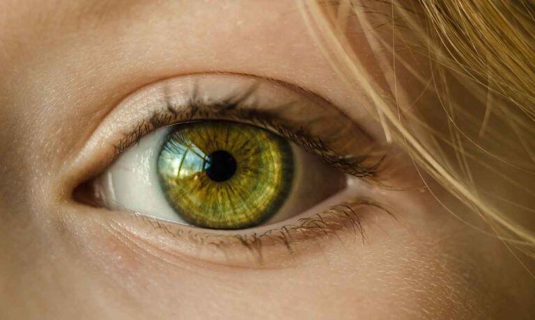¿Qué es el greenhushing?