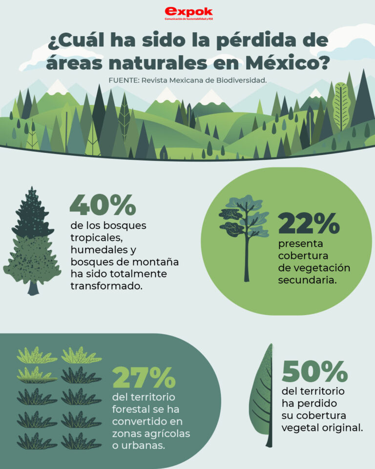 ¿Cuál ha sido la pérdida de áreas naturales en México?