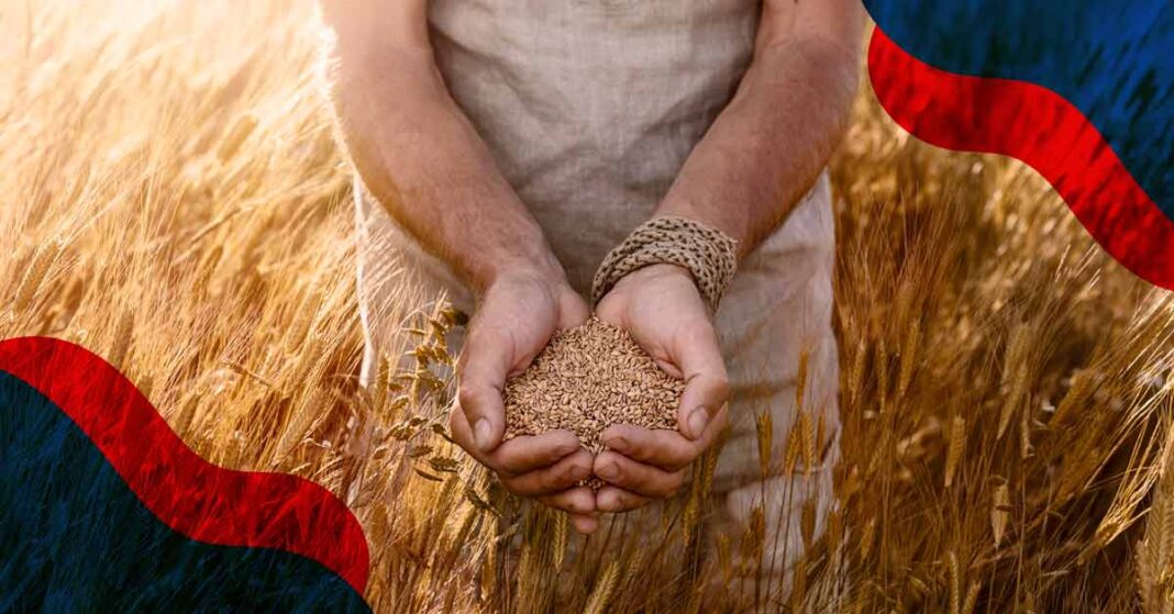 iniciativas sustentables