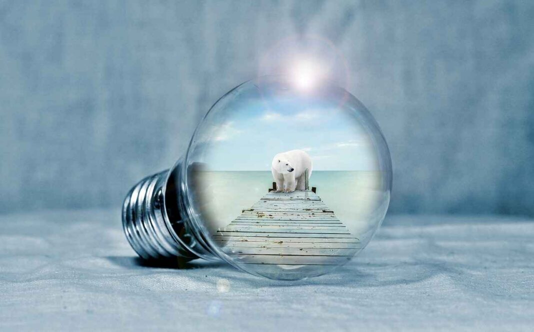 innovaciones sostenibles 2023