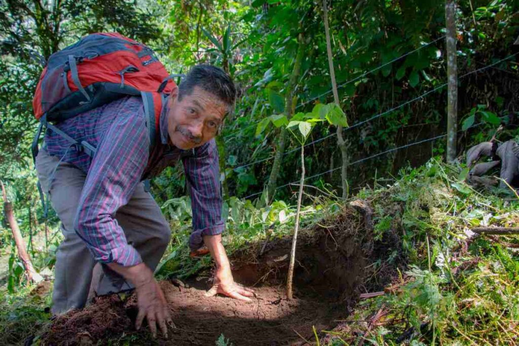 Alianzas sostenibles en Tacaná y México