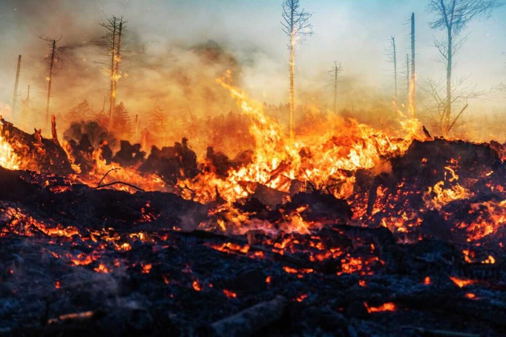 El cambio climático en México