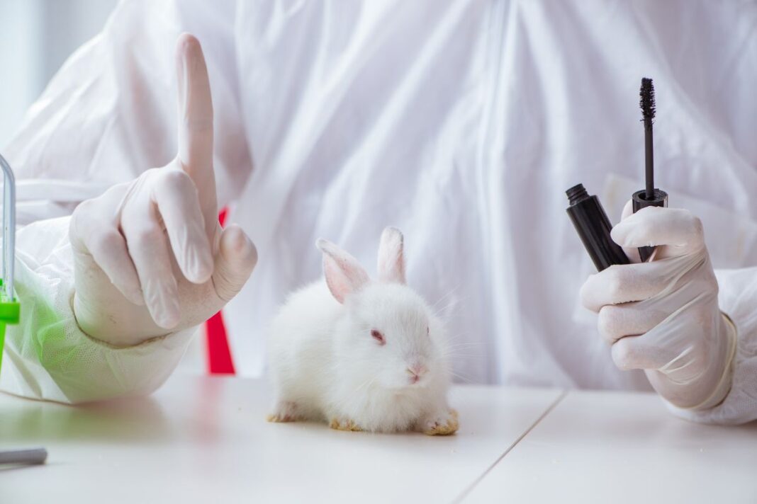 Frenar la crueldad animal