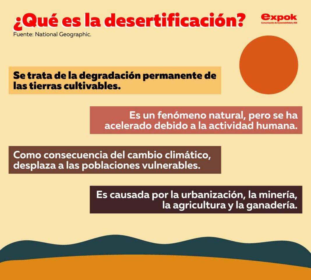 Qué es la desertificación