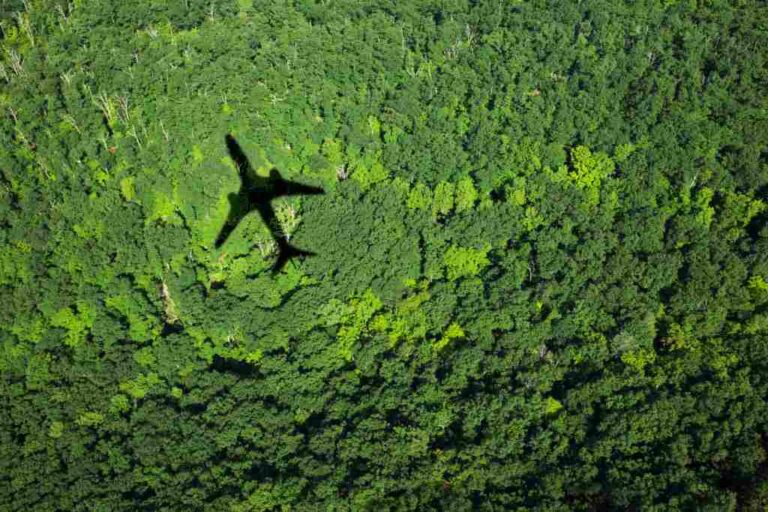 LATAM lanza programa para que pasajeros puedan compensar la huella de carbono de sus viajes
