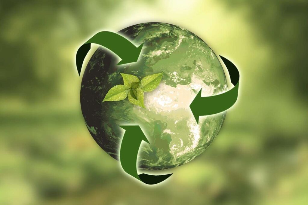 Promover el reciclaje en México