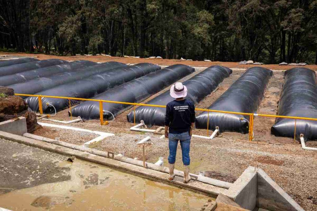 Sistema.bio en México