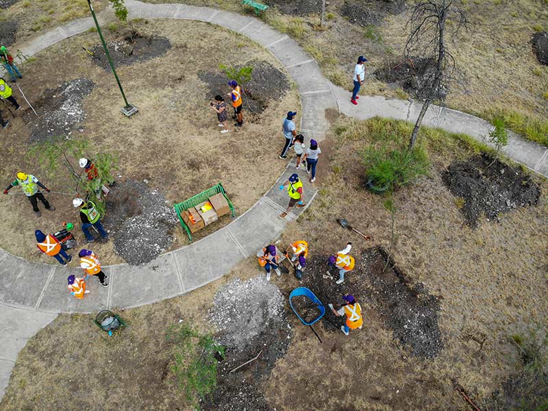 Huella ecológica verde en las ciudades