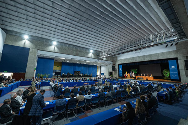 acciones para restaurar la paz