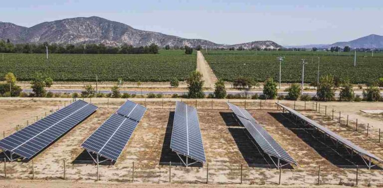 Viña Concha y Toro logra el 100% de su producción con energía renovable