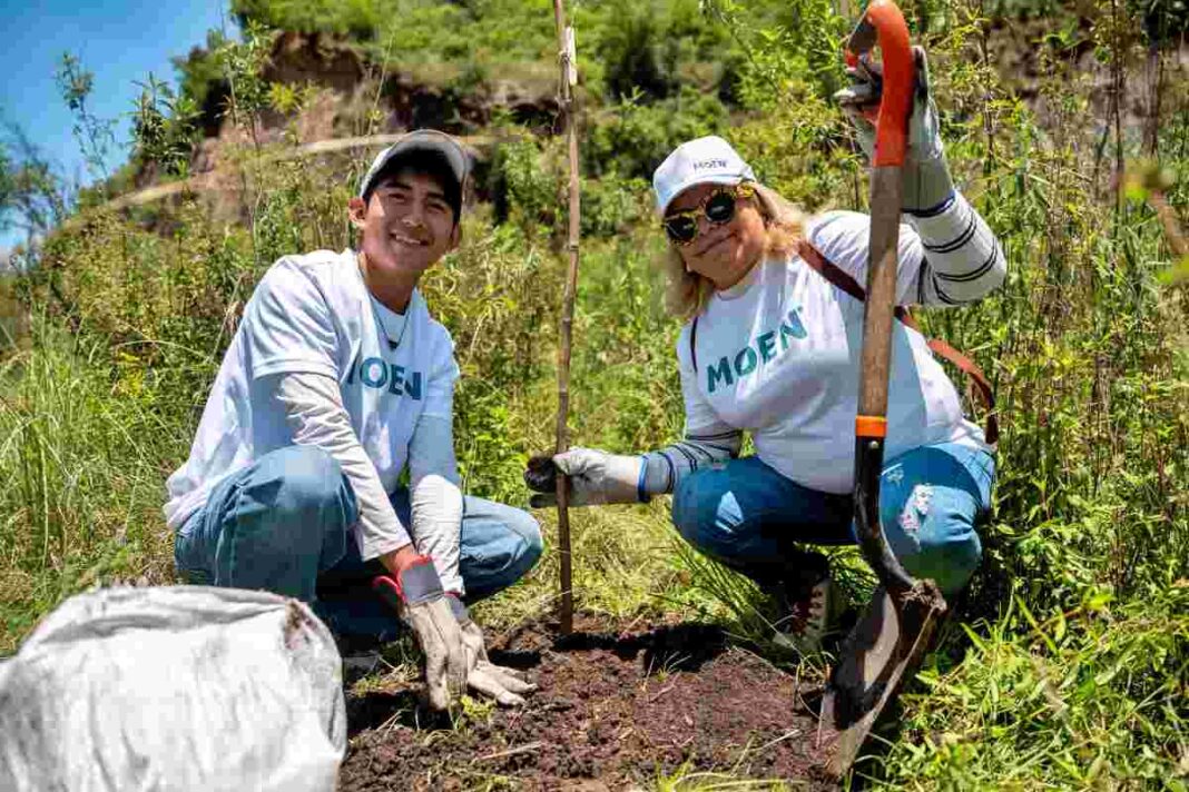reforestación en la Barranca
