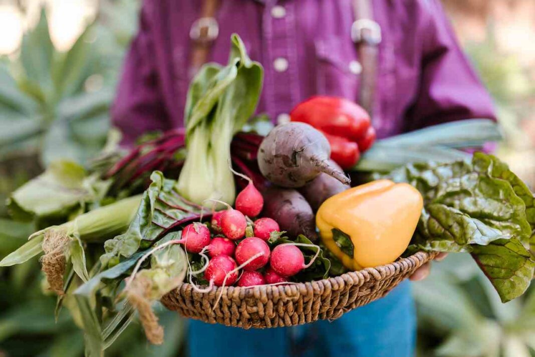 tecnológicas vs la crisis alimentaria