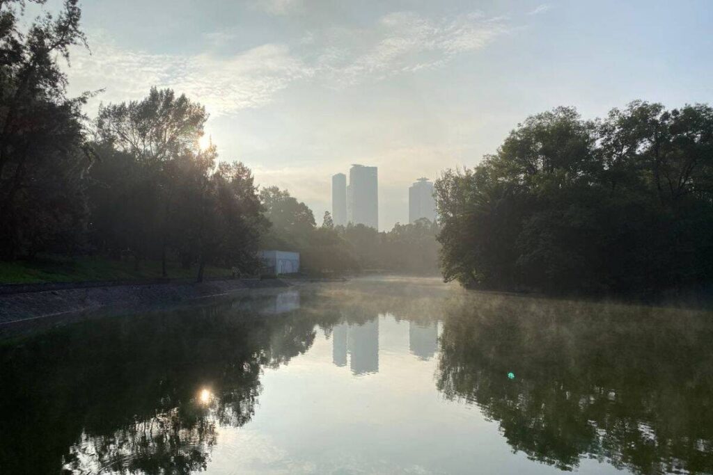 Reforestamos en CDMX