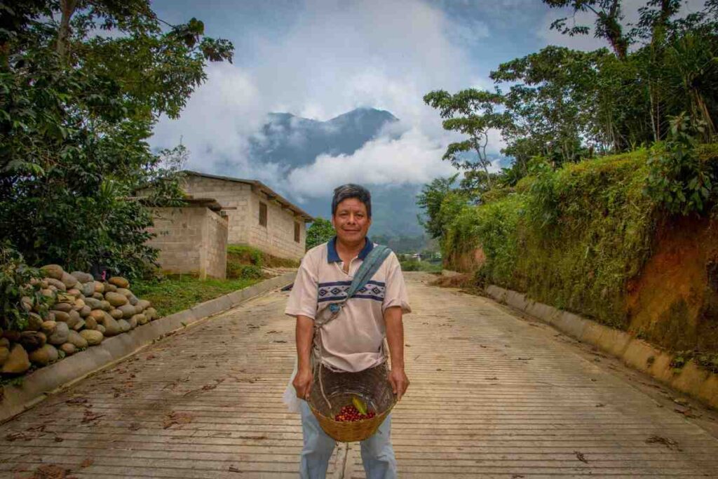 Productores Orgánicos del Tacaná