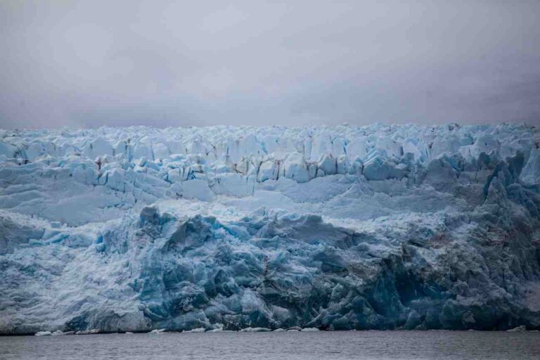 En Chile, en el Día Nacional del medioambiente: Los cuatro desafíos más urgentes según Greenpeace