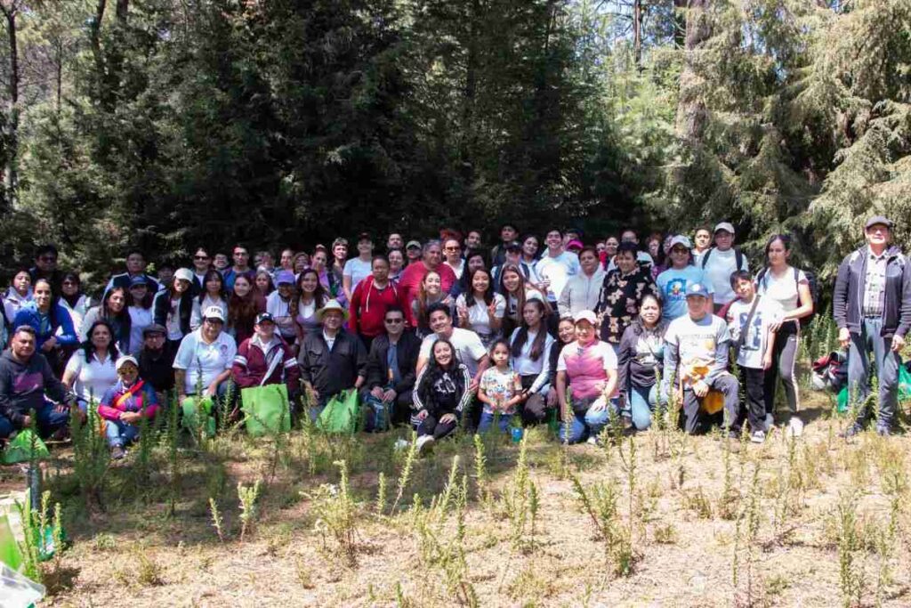 Árboles de Navidad responsables con el planet