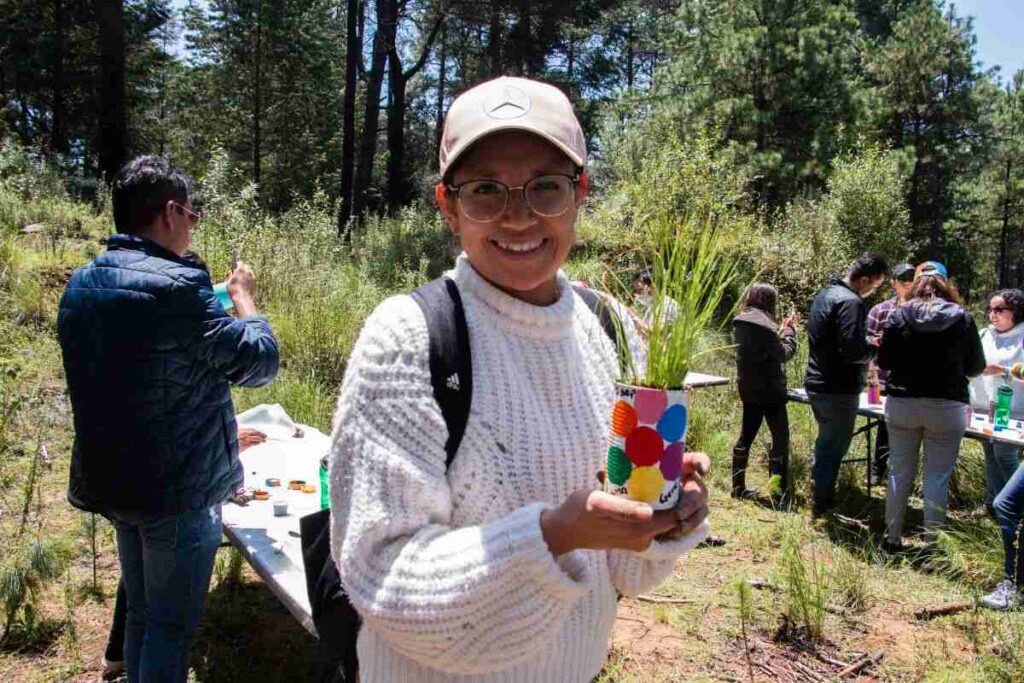 Árboles de Navidad responsables para el futuro