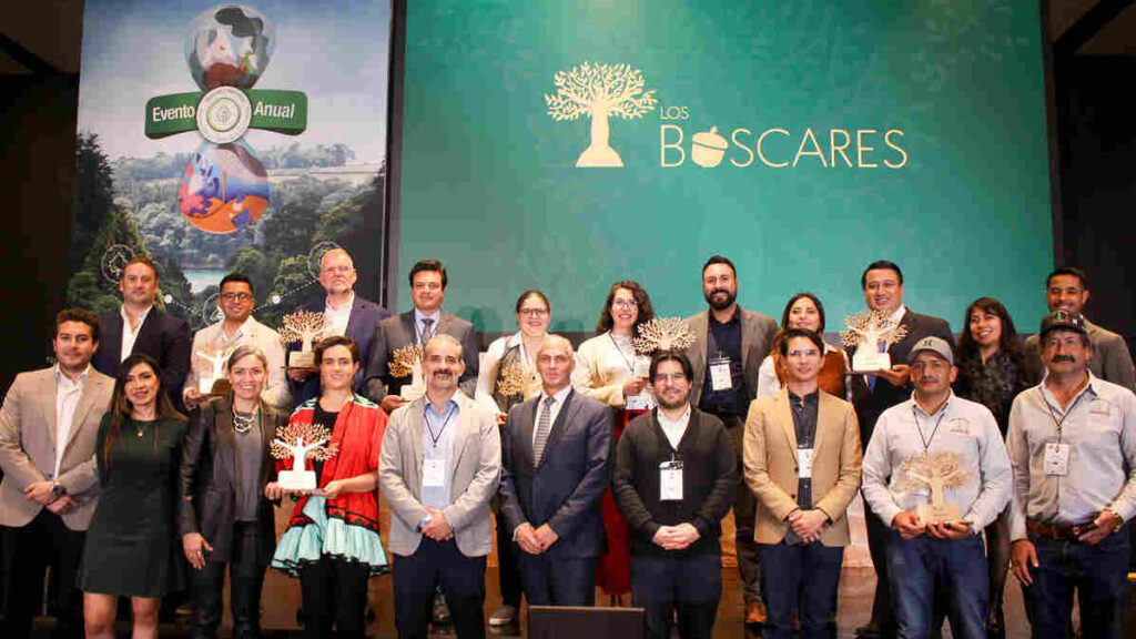 Los Bóscares 2023 ganadores