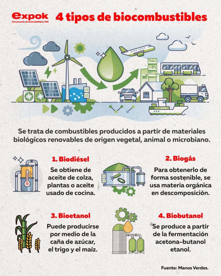 Alternativas por la sustentabilidad: 4 tipos de biocombustibles