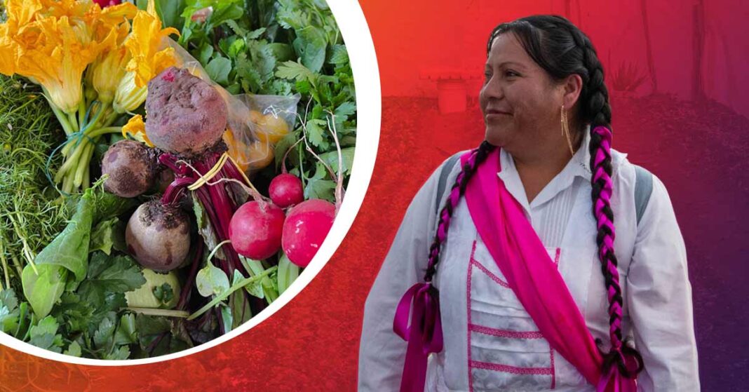 Huertos de traspatio