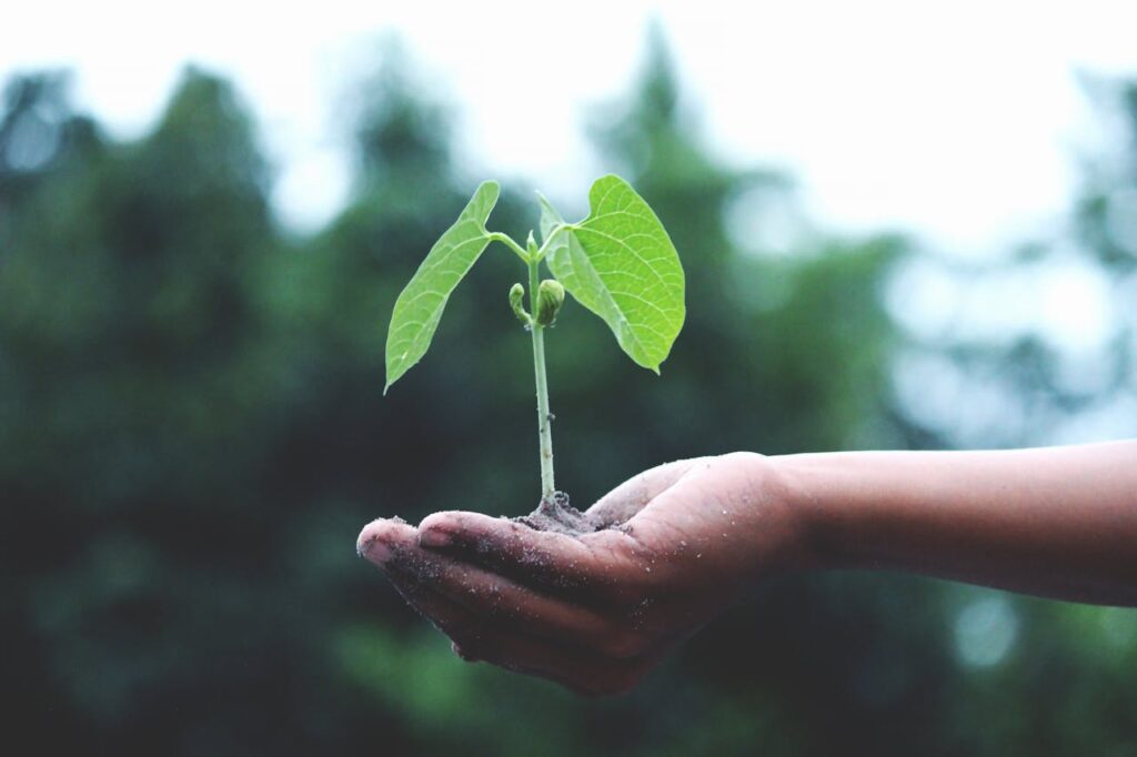 Agricultura regenerativa Unilever 