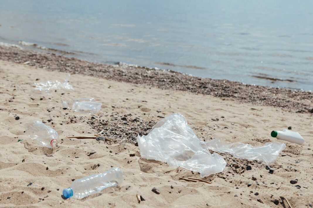 contaminación ambiental global por plásticos