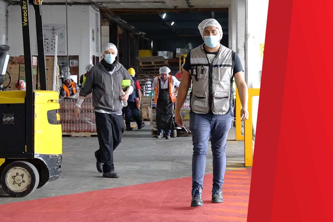 fomentar la seguridad laboral