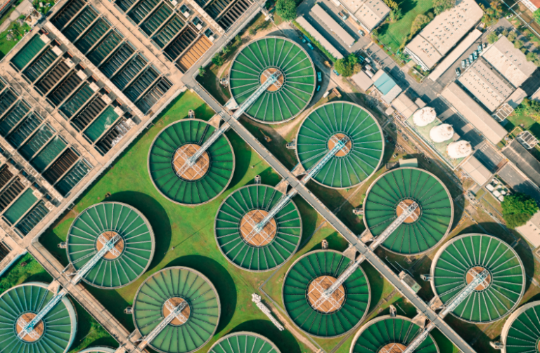 Estudio de IBM: 76% de ejecutivos mexicanos coinciden en que la sostenibilidad es central para su negocio