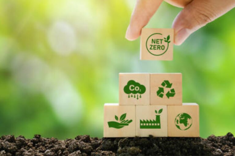 Circularidad y Sostenibilidad en las empresas: Un imperativo ineludible, según datos del International Business Report de Grant Thornton México