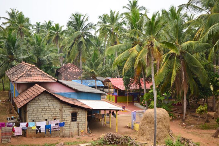 Fortaleciendo la resiliencia ambiental desde las comunidades rurales