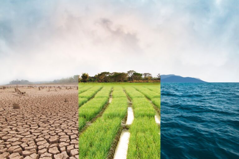 Cambio climático es el principal riesgo emergente