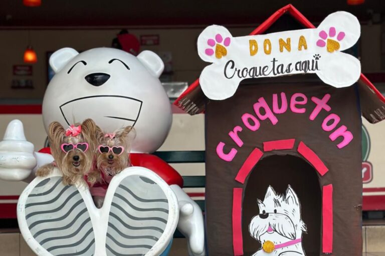 Helado promueve el apadrinamiento de perros y gatos