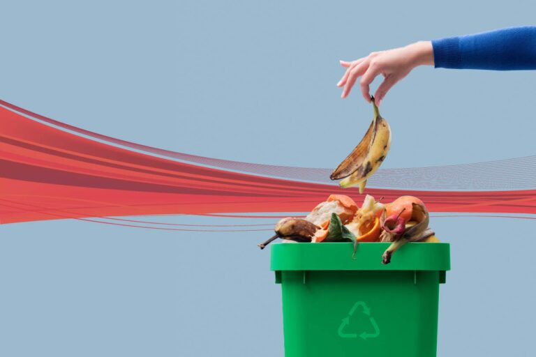 10 estrategias para evitar el desperdicio de alimentos: Corporativo Kosmos