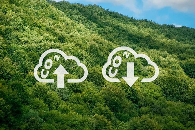 ¿Cuál es la diferencia entre la inserción y compensación de carbono? 