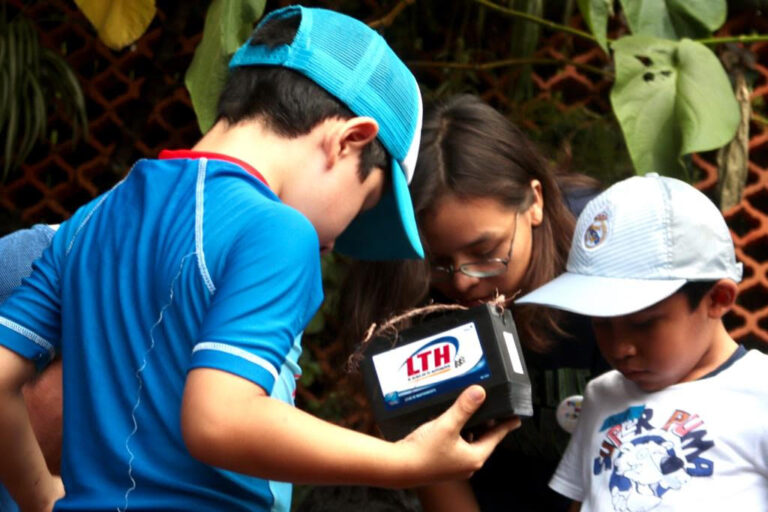 Educación ambiental desde la infancia: clave para el futuro del planeta