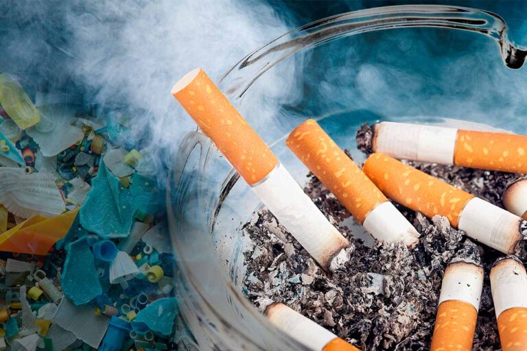 Colillas de cigarros también son microplásticos y este es su fuerte impacto