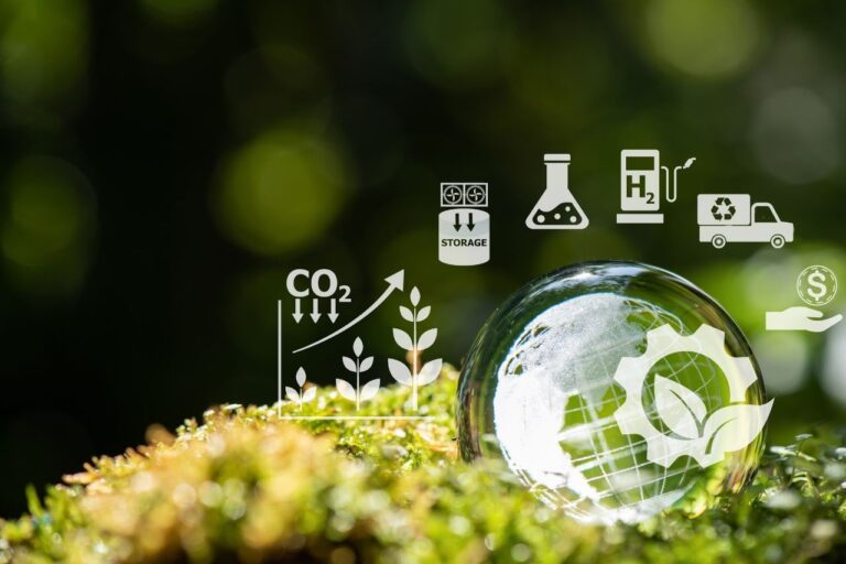 7 tecnologías de eliminación de carbono