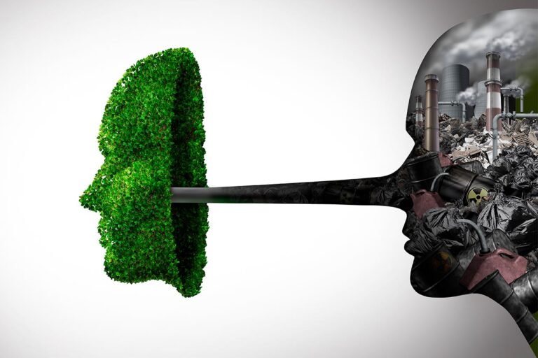 ¿Cómo la desinformación agrava el cambio climático? Informe